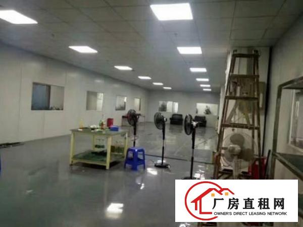 
宝龙新出原房东豪华装修楼上1286平出租