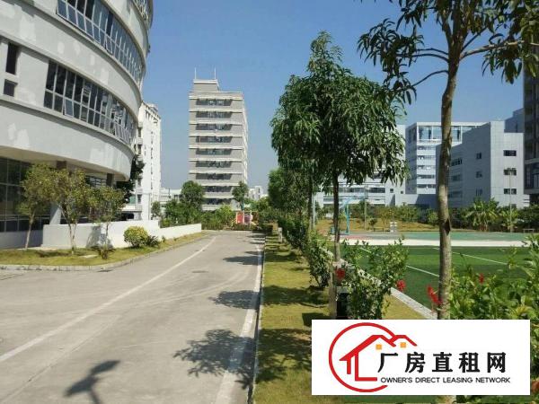 
宝龙新出原房东豪华装修楼上1286平出租