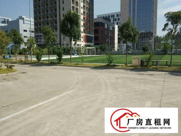 
宝龙新出原房东豪华装修楼上1286平出租
