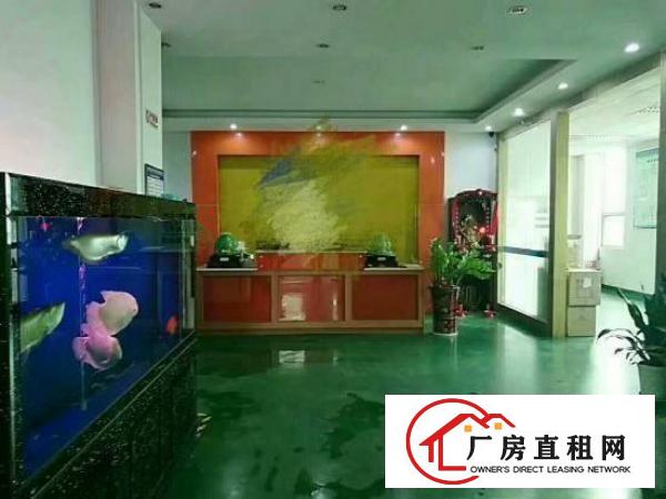 
龙岗南联地铁口附近430平带豪华装修厂房出租