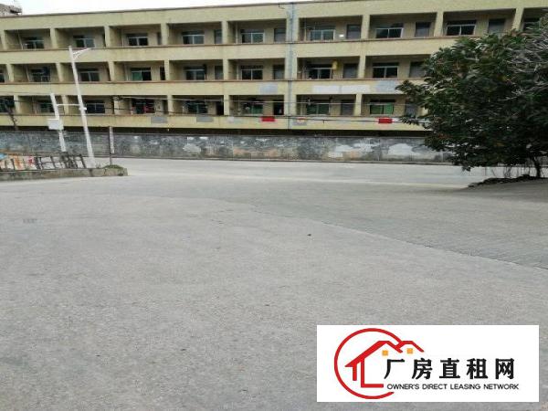 
龙岗龙岗龙东厂房1200平米