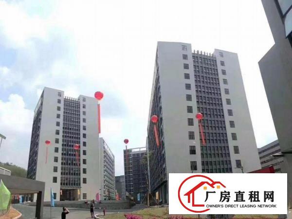 
龙岗坪地国际低碳城带装修15000平方厂房火热招租中