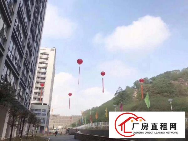 
龙岗坪地国际低碳城带装修15000平方厂房火热招租中
