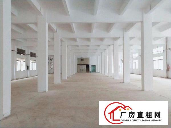 
龙岗同乐新出独院厂房9000平方超低价火热招租中
