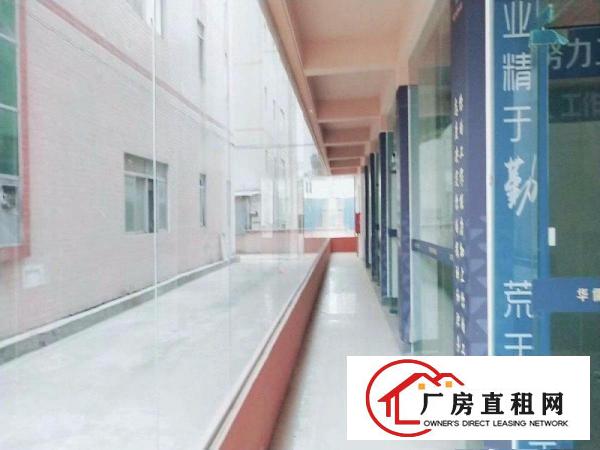
龙岗同乐新出独院厂房9000平方超低价火热招租中