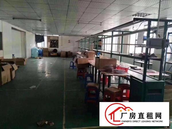 
龙岗爱联新出现成装修900平方厂房招租超优惠价出租