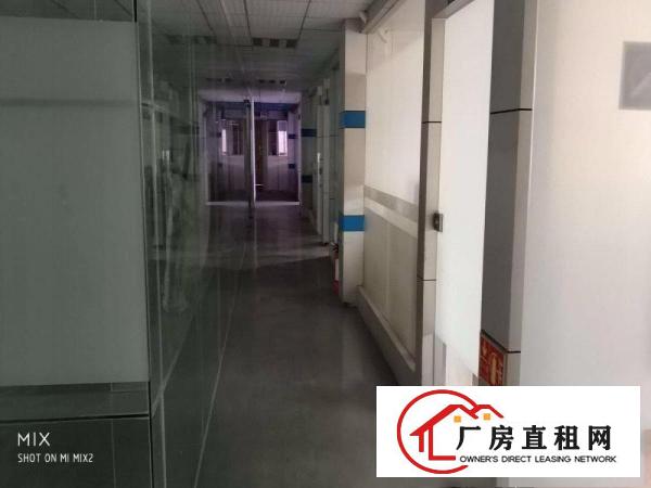 
深圳龙岗新厂房出租550平米精装修.
