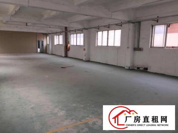 
龙岗龙东社区原房东无公摊厂房带装俢1200平米
