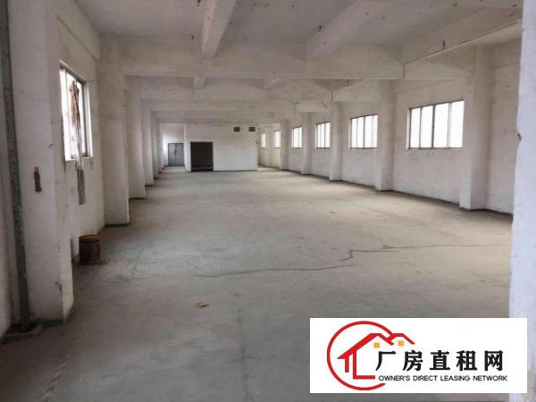 
龙岗龙东社区原房东无公摊厂房带装俢1200平米