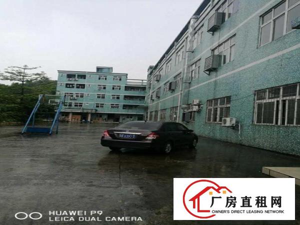 
13元抢租楼上1200平可分租