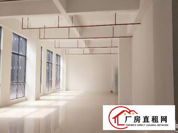 
宝龙高新区新出1800平办公大小分租