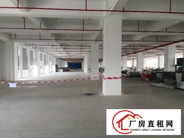 
政府补贴，龙岗宝龙工业区楼上1550平方出租