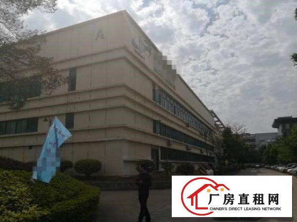 
政府补贴，龙岗宝龙工业区楼上1550平方出租