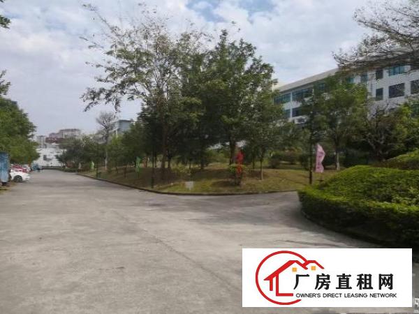 
政府补贴，龙岗宝龙工业区楼上1550平方出租