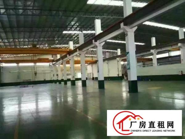 
龙岗同乐钢结构厂房2600水电齐全10米高可分租
