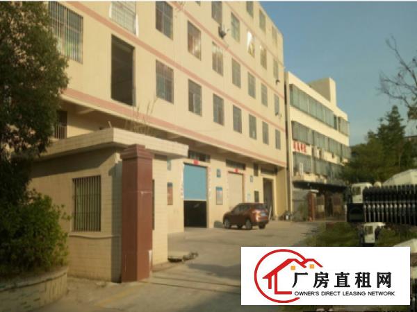 
龙岗同乐新出独院一楼580平出租高5米