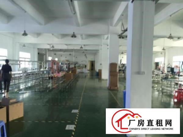 
龙岗同乐新出独院一楼580平出租高5米