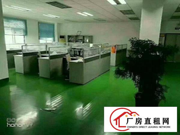 
龙岗宝龙龙东4600平米独院出租，可分租