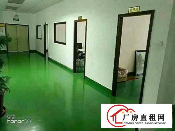 
龙岗宝龙龙东4600平米独院出租，可分租