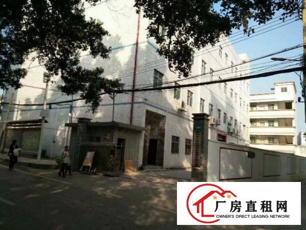 
龙岗宝龙龙东4600平米独院出租，可分租