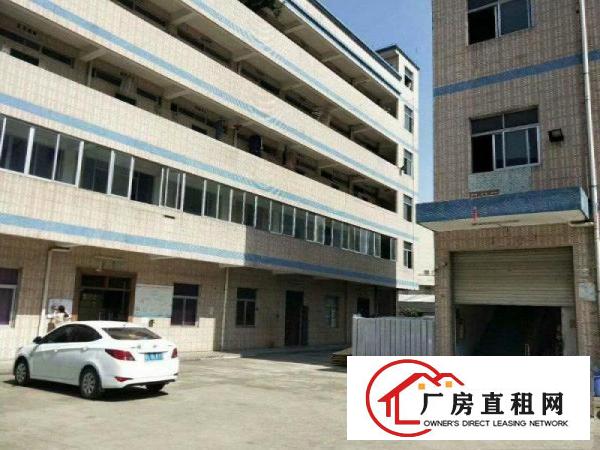 
龙岗新生小独院厂房6500平米现成办公室整体出租