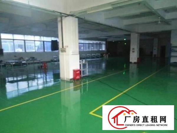 
龙岗龙东楼上整层800平带装修厂房出租，无公摊