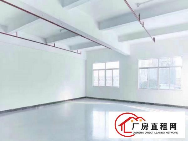 
龙东带装修厂房600平出租