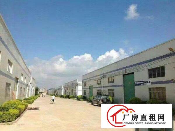 
龙岗高速出口新出钢构厂房2800平米出租可分租