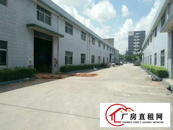 
龙岗高速出口新出钢构厂房2800平米出租可分租