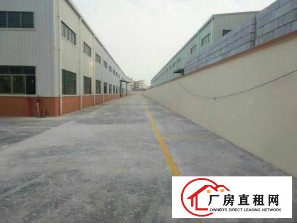 
龙岗全新钢构厂房滴水8米高4300平米出租可分租