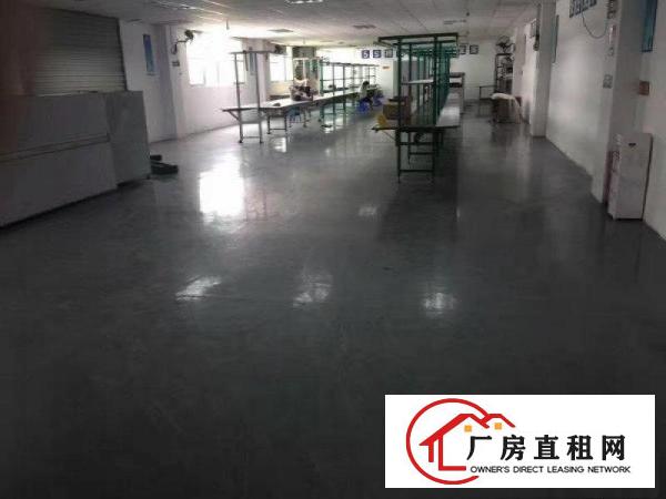 
独院厂房5500业主招租大小分租