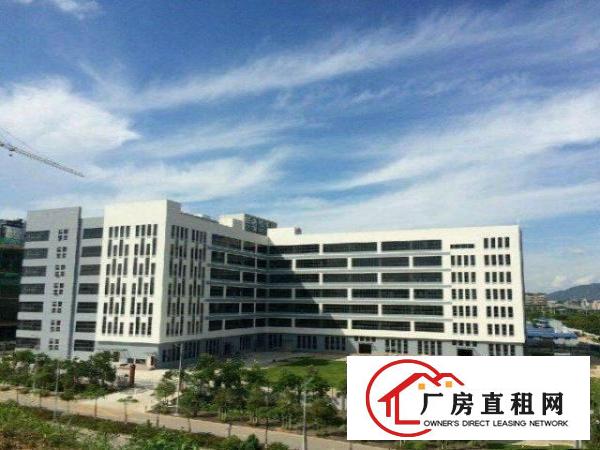 
龙岗宝龙全新红本独院厂房25000平方大小分租