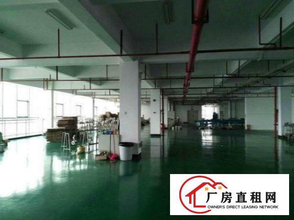 
深圳龙岗精装修900平米仅10元厂房招租可分租