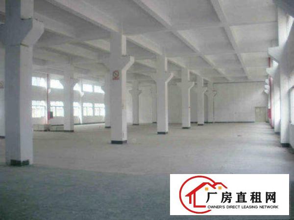 
宝龙尚荣医疗公司厂房500到2万大小分租