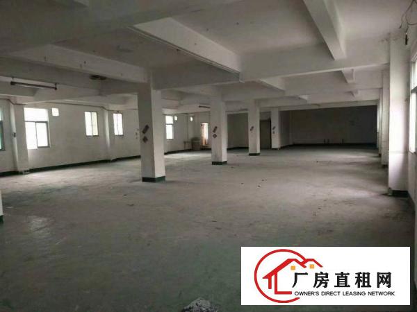 
龙岗商业楼招租2800平汽车4S店、会所、公寓