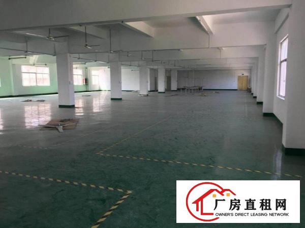 
龙岗南约新出独院11000平方，形象好，空地大