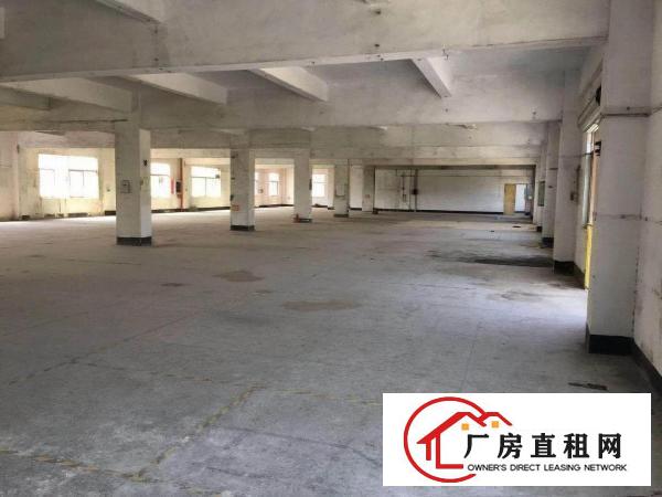 
龙岗南约新出独院11000平方，形象好，空地大
