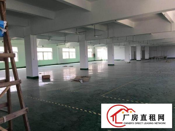 
龙岗南约新出独院11000平方，形象好，空地大