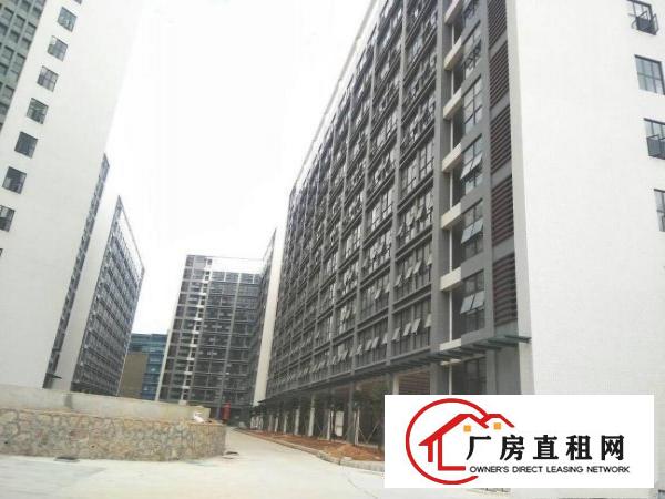 
龙岗区新出15万平全新标准厂房出租，