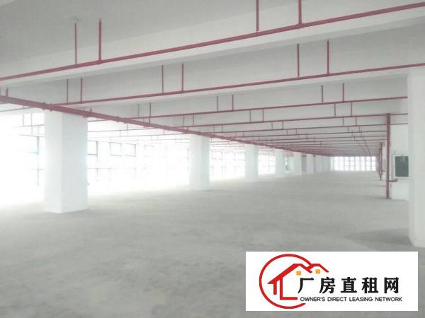 
龙岗区新出15万平全新标准厂房出租，