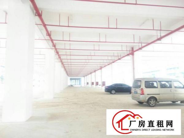 
龙岗区新出15万平全新标准厂房出租，