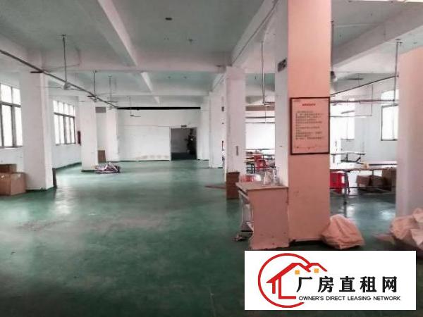 
龙岗宝龙工业园原房东独门独院厂房4000平带办公室