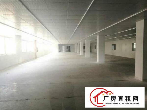 
龙岗宝龙工业园原房东独门独院厂房4000平带办公室