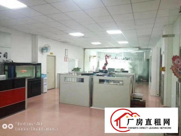 
龙岗工业园一楼厂房2000平米适合做模具塑胶等招租