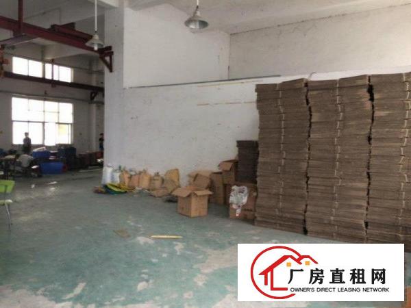 
龙岗工业园一楼厂房2000平米适合做模具塑胶等招租