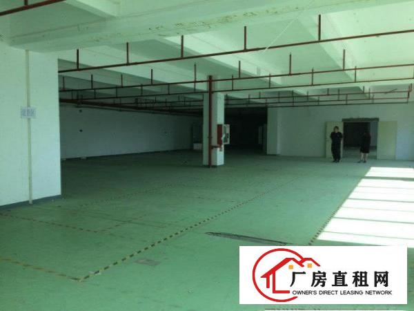 
龙岗工业园一楼厂房2000平米适合做模具塑胶等招租