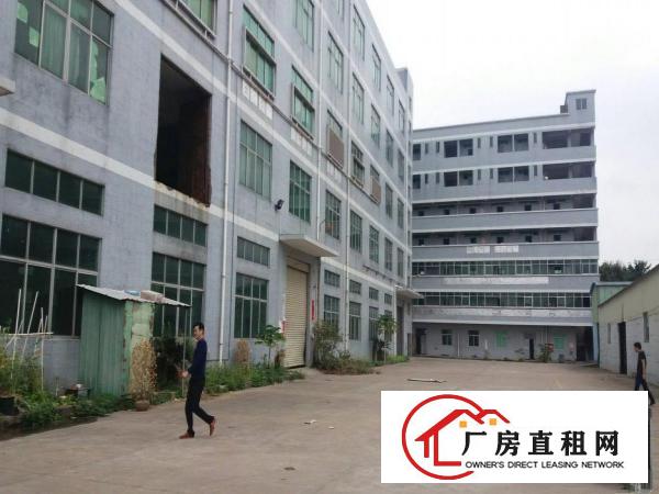 
坪西独院厂房11200平方招租空地大形象漂亮合同长