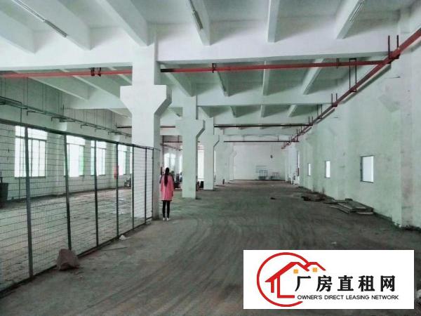 
龙岗龙东爱南附近原房东2700平米独门独院带装修