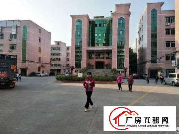 
龙岗龙东原房东实际面积一楼1300平米出租
