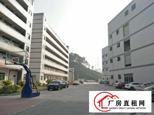 
宝龙超靓工业园分租三楼1500、1800平带装修